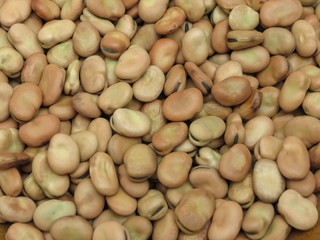 Broad bean background