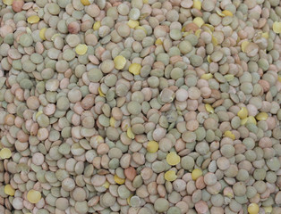 Lentils pulse grain legume vegetables