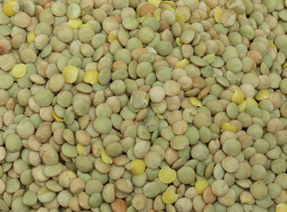 Lentils pulse grain legume vegetables