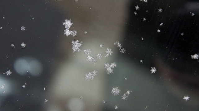 Snowflakes On Automotive Glass.