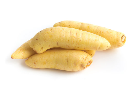 Barred Potato. Baroa