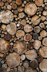 wood logs background
