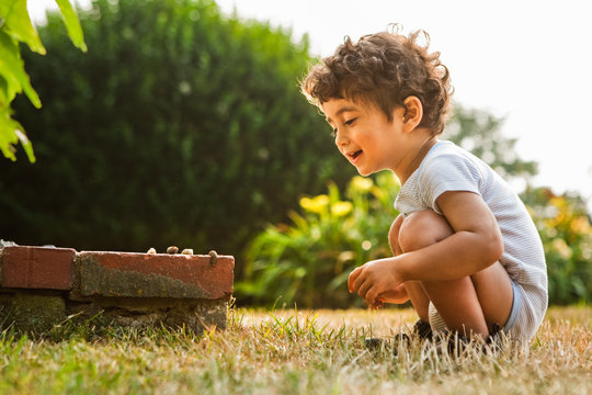 (1-2) year old caucasian boy outdoors playing with rocks and worms in the summertime on Cape Cod, MA.