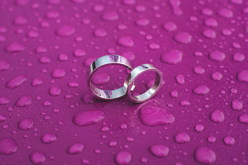 Wedding rings on a pink surface in the rain.