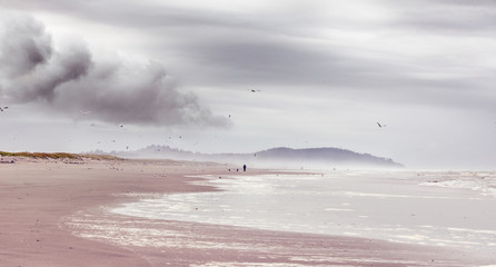 Long Beach on a gray June morning with Cape Disappointment shrouded in mist