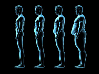 Four Male Body Types