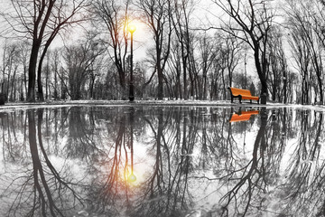 view from the original puddles