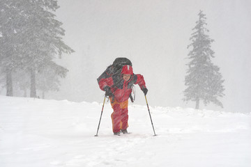 Tourist through a violent storm