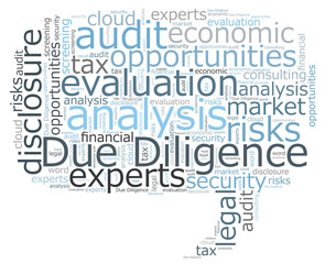 Due Diligence word cloud