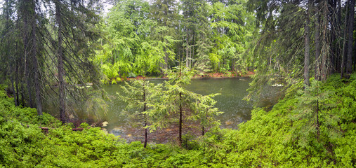 Mountain Lake in the wild taiga