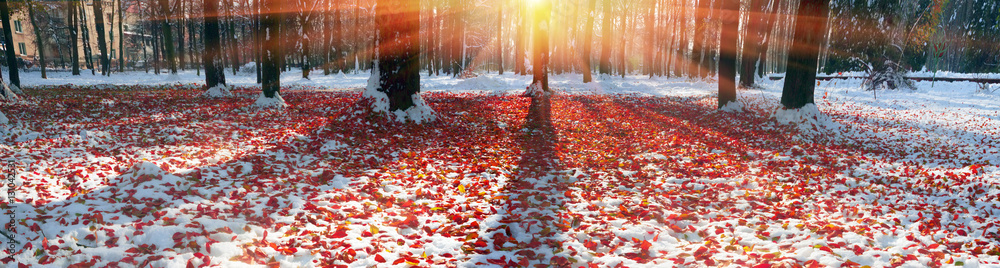 Wall mural Meadow fallen leaves