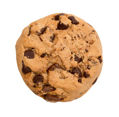Chocolate chip cookie