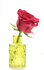 Close up of single red rose in glass vase