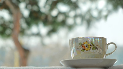 cup view window winter tree