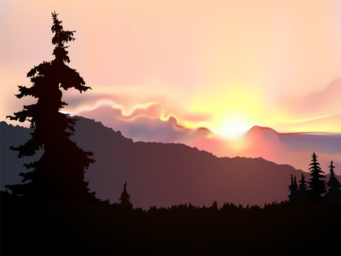 Silhouette of coniferous trees on the background of mountains and colorful sky. Sunset.