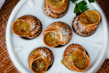 Escargots de Bourgogne - Snails with herbs butter, gourmet dish in French traditional  with parsley and bread on white platter