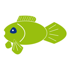 Fish on white background