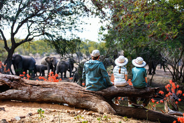 Family safari © TravelPhotoBloggers