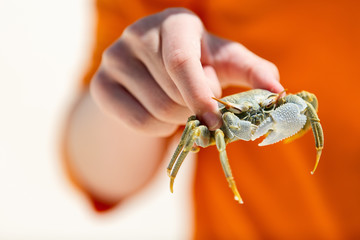 Boy holding crab