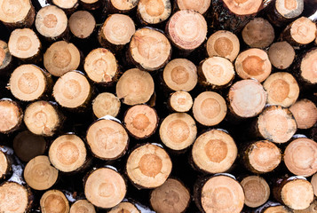 A stacked heap of chopped logs from pine retain their bark and s