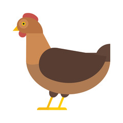 Cute cartoon rooster vector illustration