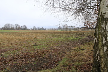 Spätherbst in der Umgebung von Osterholz-Scharmbeck