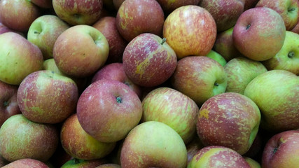 Photo with bunch of apples