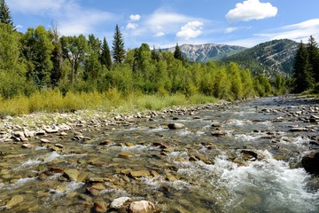 Mountain Creek - Horizontal - A mountain Creek (Anthracite Creek) running along Kebler Pass near Crested Butte, Colorado, USA.