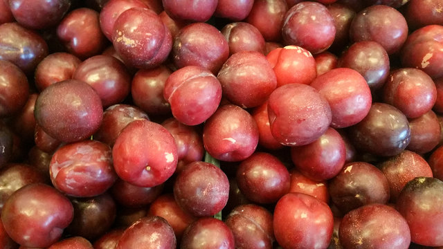 Photo with red plums