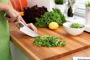 Closeup of woman hands cooking vegetables salad in kitchen. Healthy meal and vegetarian concept.