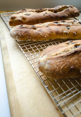 Fresh baked loaves of artisan bread