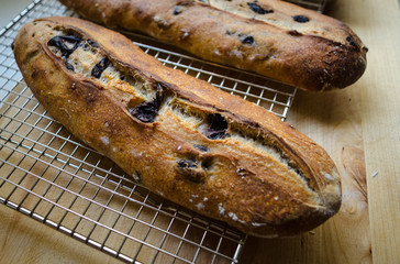 Fresh baked loaves of artisan bread