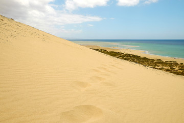 Fototapeta na wymiar Dunes on the beach Playa de Sotavento on the Canary Island Fuerteventura, Spain.