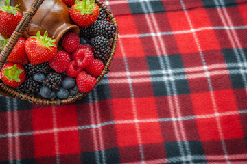Basket with mix berries (strawberries, blueberries, blackberries and raspberries) on a picnic blanket with copy space