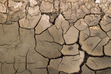 cracked earth ground arid