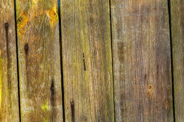 Close up of natural old wooden planks