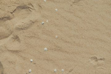 closeup of sand pattern of a beach in the summer