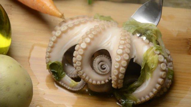 Octopus vulgaris Gewone seekat Obična hobotnica K&ouml;z&ouml;ns&eacute;ges polip Pulpo أخطبوط شائع Ośmiornica zwyczajna Polpo Pieuvre Осьминог обыкновенный Poulpe Gew&ouml;hnlicher Krake 普通章魚 Polpi תמנון החוף