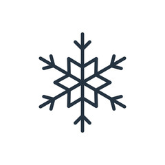 snow flake line web icon on white background