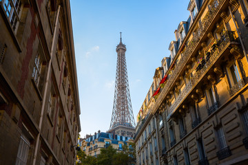 Fototapeta premium Eiffel Tower in Paris, France