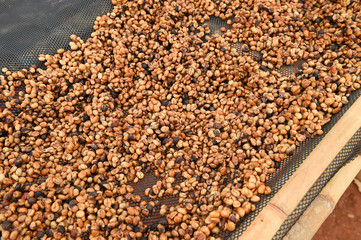 Close up of coffee beans for background