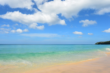 beautiful beach and tropical sea