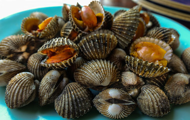 Cockle steam on dish