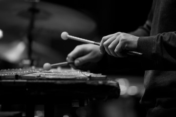 Fototapeta na wymiar Hands musician playing the glockenspiel in black and white