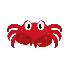 Marine crab cartoon icon vector illustration graphic design