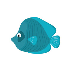 Marine fish cartoon icon vector illustration graphic design