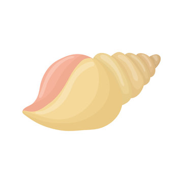 sea shell creature icon vector illustration graphic design