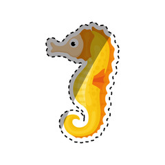 Sea horse cartoon icon vector illustration graphic design