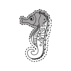 Sea horse cartoon icon vector illustration graphic design