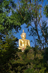 Buddha in the forest